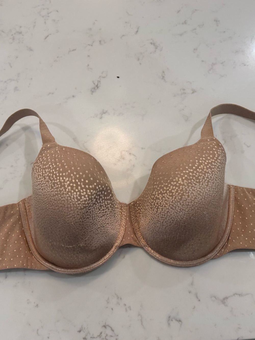 38 DD Wacoal Champagne Dot T-Shirt Bra